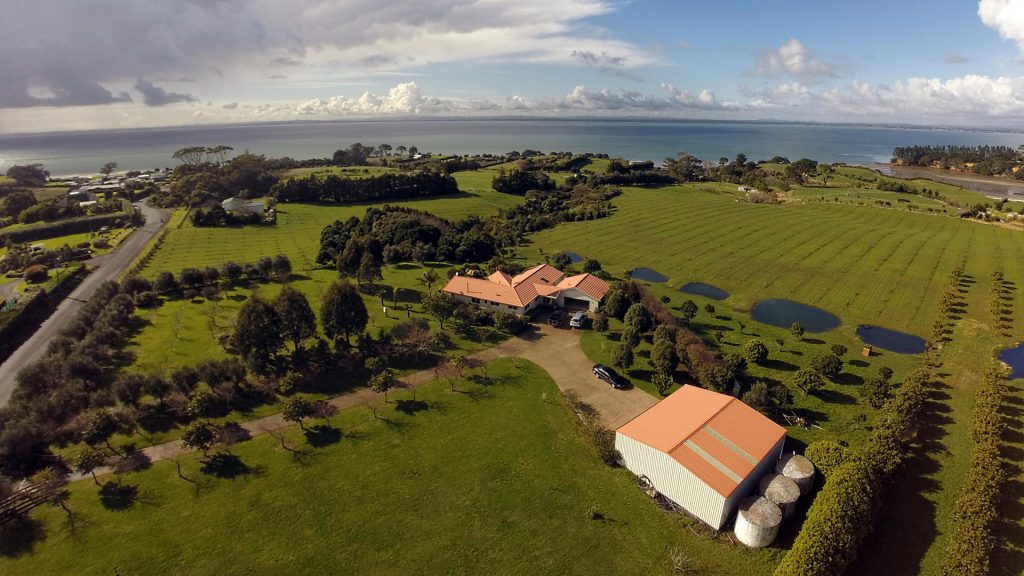 Auckland's Best Kept Secret - 444 Grahams Beach Road - SOLD September 2015