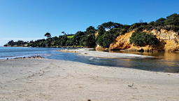 Awhitu Peninsula: Discover Auckland’s Best-Kept Secret